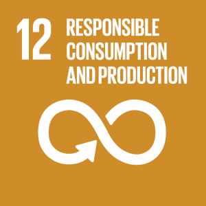 Goal 12: Responsible Production and Consumption