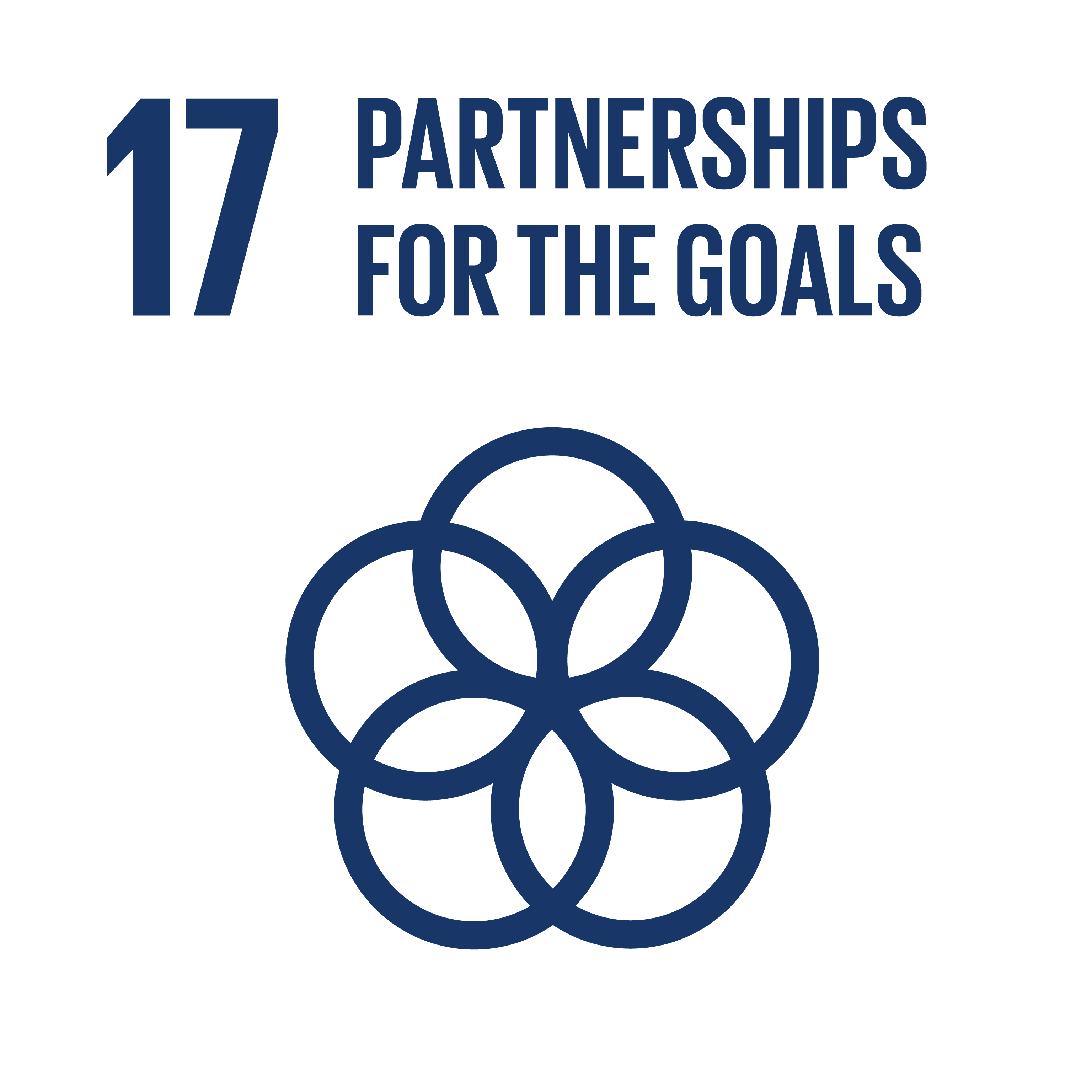 Sustainable Development Goals 17 partnershipes for the goals